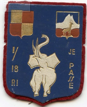 Cet insigne, sorte de résumé de la symbolique du I° Bataillon  , apporte les derniers éléments nécessaires  à l'interprètation des motifs composant le Fanion 