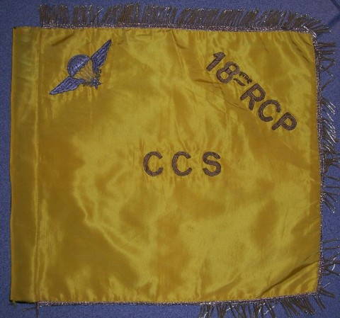  " Fanion de la Compagnie de Commandement et des Services (CCS) JAUNE "  