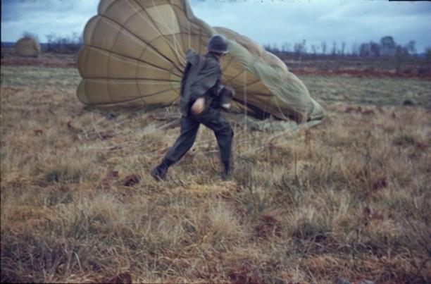 Les tuyas de GER BOIS d' AZET .......... une légère brise anime les coupoles créant les conditions idéales pour prendre une photo  