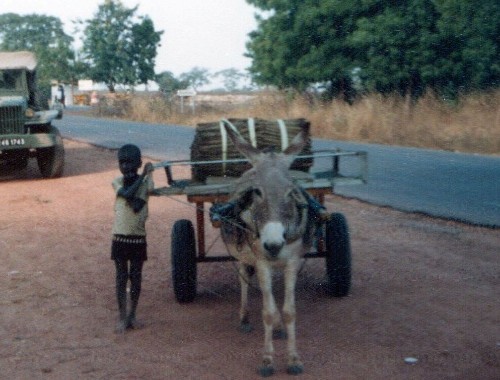 longeant une bande d' asphalte , une bande de piste en laterite .Un petit ane tire une araba