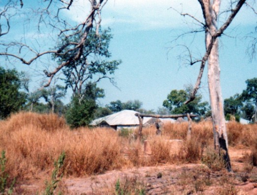 A l'orée du village un puits avec margelle en ciment 