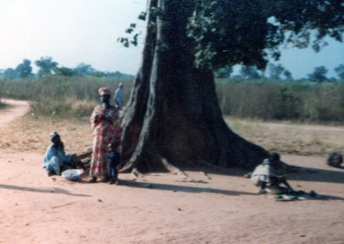 Les cuvettes émaillées occupent une grande place dans l'univers de la ménagère africaine "