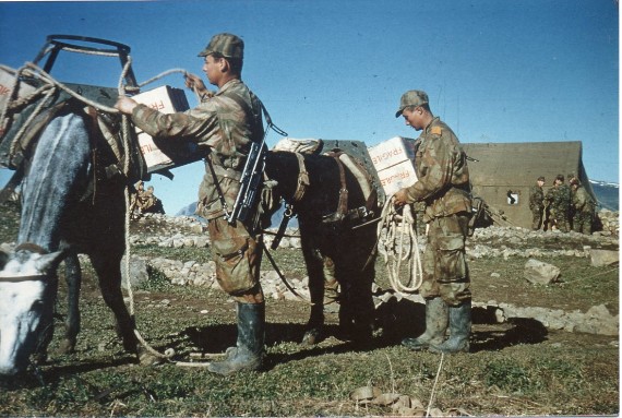 " 18 Avril 1960 C.P. Ravitaillement en terrain escarpé .Les mulets remplacent les "chevaux - vapeur "   