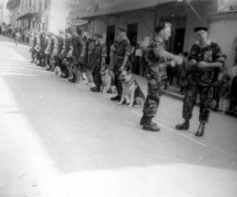 le peloton cinophile dont la mission principale est de garder les cantonements du Régiment.