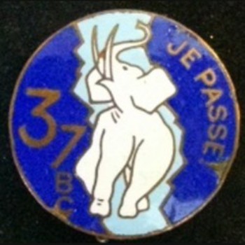  L'insigne du 37° Bataillon de Chars de Combat, dont une partie des cadres était originaire ,explique la présence de l'éléphant sur le Fanion