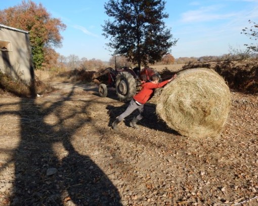 travailleur des champs qui s' affère à rouler une balle de foin