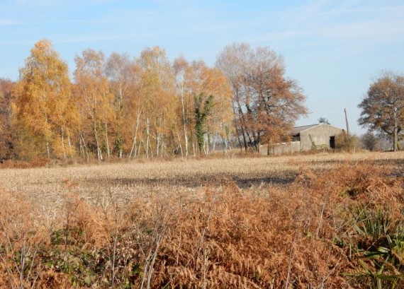 Nous poursuivons notre route vers l' Ouest abandonnant le pas de tir à sa reconversion agricole