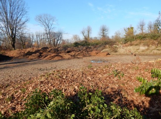 Des fouilles superficielles ont eu lieu sur l'emplacement de l' habitat supposé d'une tribu dite ROUGE