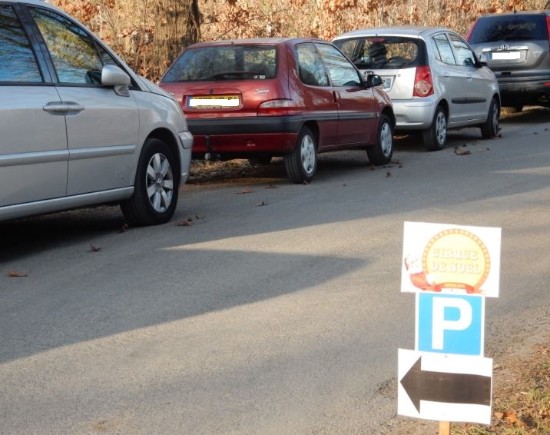  Les parkings indiqués par le fléchage étant saturés il y a des voitures partout