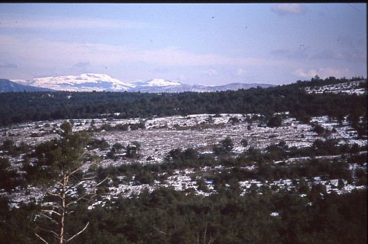 Il ne fait pas bien chaud ce matin de Février 1994 à CANJUERS